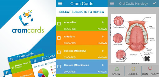 ADAT Oral Diagnosis Cram Cards