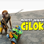 Cover Image of Download Topeng Monyet Yang Lucu Bikin Ngakak 1.0.1 APK