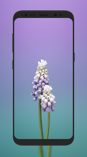 iWallpapers HD Screen 2