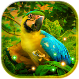 Bright Parrots icon