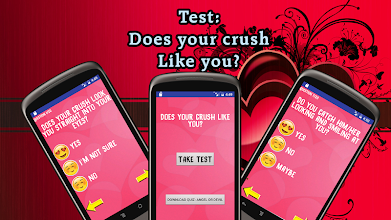 Crush on has test you who a What do