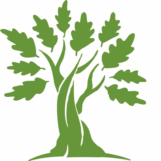 Royal Oak Schools logo