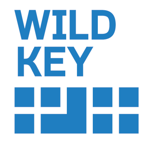 Wildkey IDEA-FAST logo
