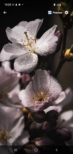 Android application Flowers Wallpapers screenshort
