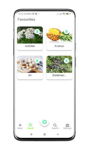 Planteex Screen 3
