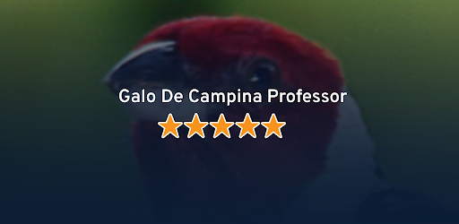 Android application Galo De Campina Professor screenshort