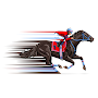 Horse Racing  Tracker - Tips