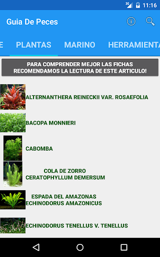 Guía de peces de acuarios