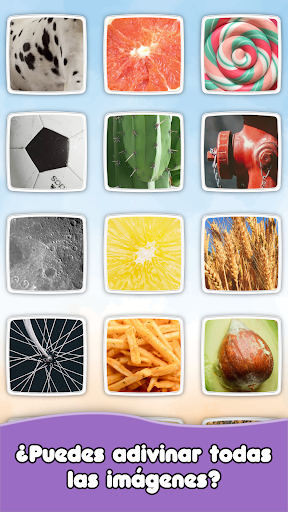 Vista previa de la aplicación