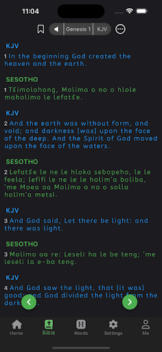 Bible Sos Screen 3