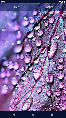 Water RainDrops Live Wallpaper - Latest version for Android - Download APK
