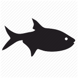 СРравочник для рыбака v2 icon