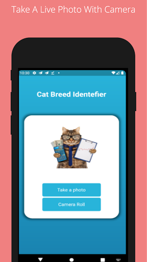 Cat Breed Classifier Screenshot 2 - AppWisp.com