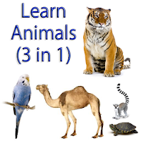 Learn Animal Names (3 in 1 )