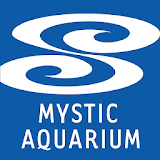 Mystic Aquarium App icon