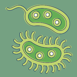 Kuvake-kuva Bacteria: Types, Infections