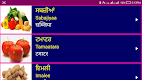 screenshot of Learn Punjabi From Hindi