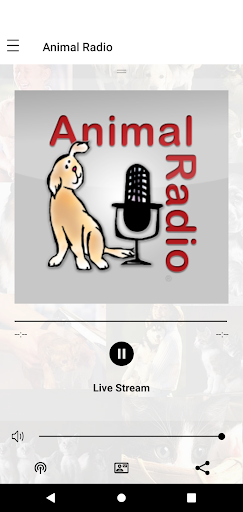 معاينة التطبيق