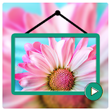 Video Live Wallpapers HD - VidWalls Pro icon