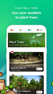 Ecoplay: Plant real trees by Playing Games 4