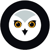 Owl Guardian icon
