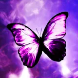 3D beautiful Butterfly icon