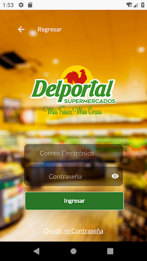 Supermercados Delportal Screen 2