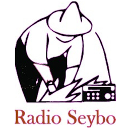 Icon image Radio Seibo