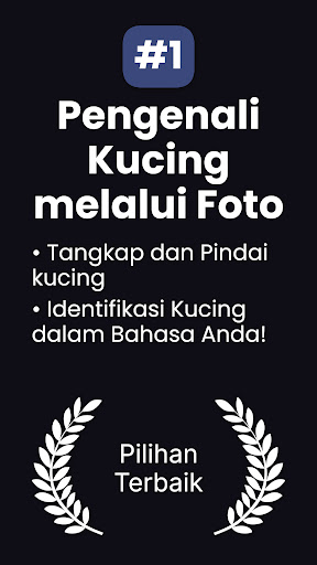 Pratinjau aplikasi