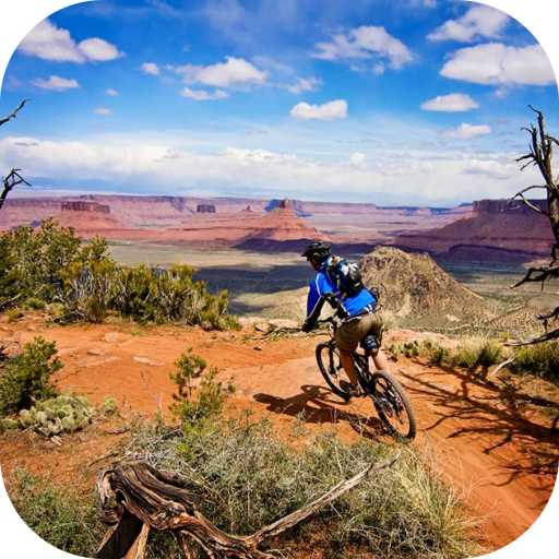 MOUNTAIN BIKING WALLPAPER