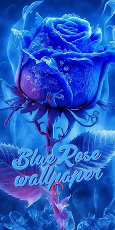 青いバラの壁紙のおすすめ画像1