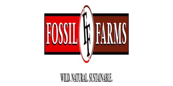 Fossil Farms – Apps on Google Play