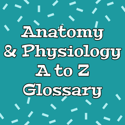 Anatomy & Physiology Terms logo