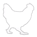 Tangkap ayam dan Sapi