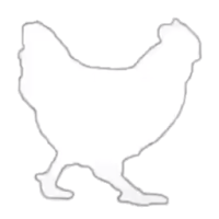 Tangkap ayam dan Sapi
