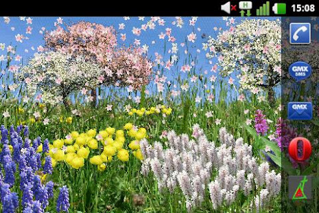 Spring Flowers Free Wallpaper