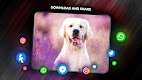 screenshot of Wallpapers with dogs in 4K