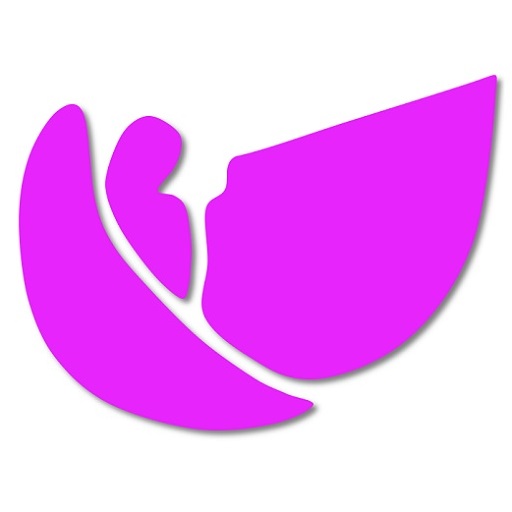 Heavenly Lights Ministry logo