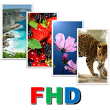 Free Wallpaper HD/FHD/QHD/UHD icon