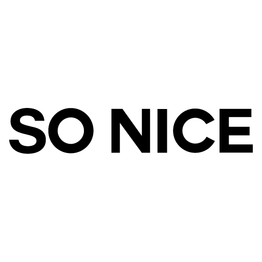 SO NICE logo