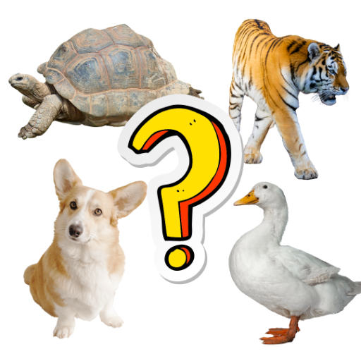 Animal Quiz Games