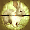 Rabbit Hunting Challenge Games