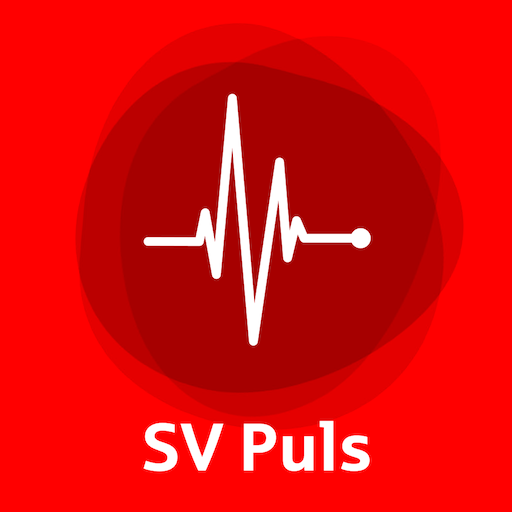 SV Puls logo