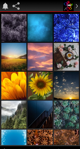 HD Wallpapers  Backgrounds