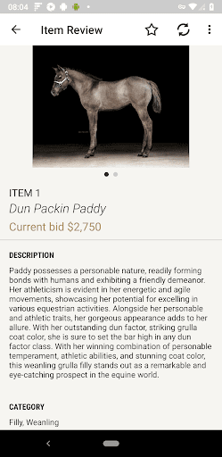 Corbett Creek Ranch Auction Screen 3