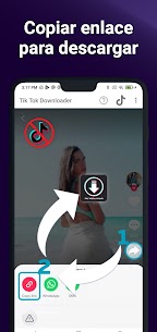 sssTikTok 1