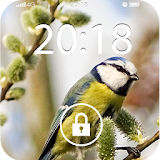 Fancy Screen Lock Bird icon