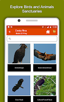 Costa Rica Travel & Explore, O APK スクリーンショット画像 #13