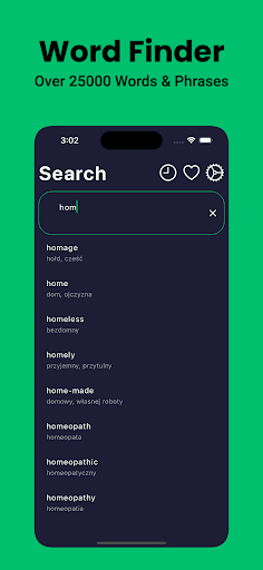 Polish Dictionary English Screen 3