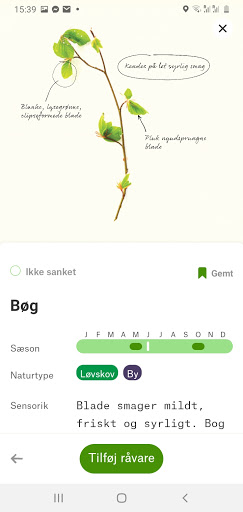 VILD MAD Screen 2